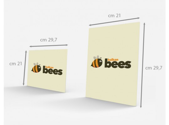 Cavalierino Georgia A4